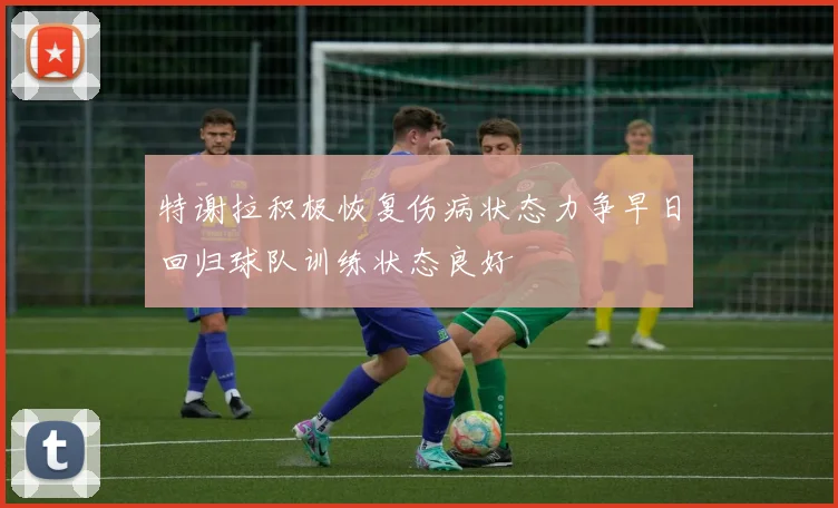 特谢拉积极恢复伤病状态力争早日回归球队训练状态良好