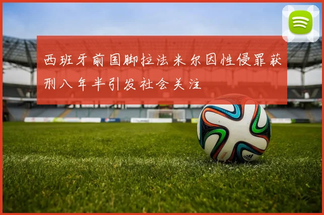 西班牙前国脚拉法米尔因性侵罪获刑八年半引发社会关注