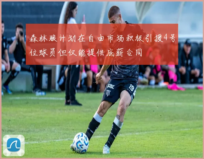 森林狼计划在自由市场积极引援4号位球员但仅能提供底薪合同
