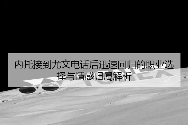 内托接到尤文电话后迅速回归的职业选择与情感归属解析 - 28quan